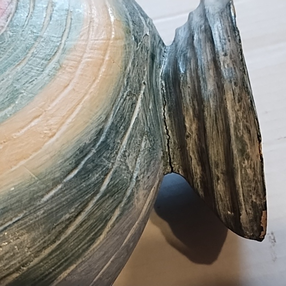 Decorative Pastel Shell - Picture 8 of 10